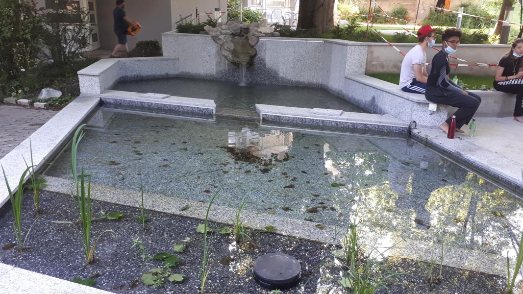 Brunnen